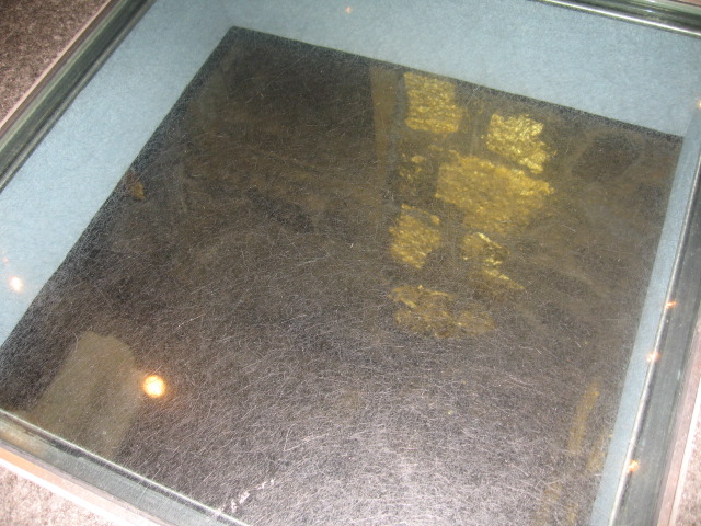 IMG_2727.jpg