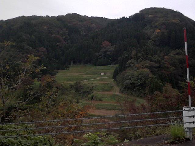 P2011_1105_103423.JPG
