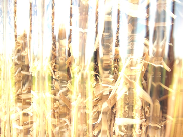 P1011518.JPG