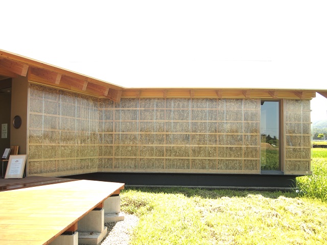 P1011523.JPG